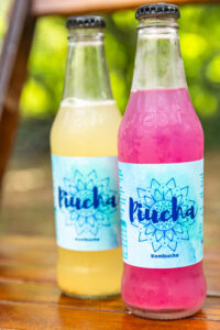 Kombucha da Piucha