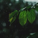 Previsão de chuva em dia de Feira Cultural do Bairro Demétria